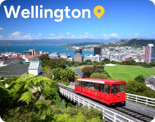 wellington